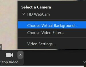 Choose Virtual Background